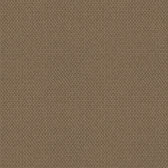MOONDANCE - Egyptian Sand 00275 MOONDANCE - Egyptian Sand 00275