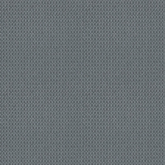MOONDANCE - Frosted Denim 00446 MOONDANCE - Frosted Denim 00446