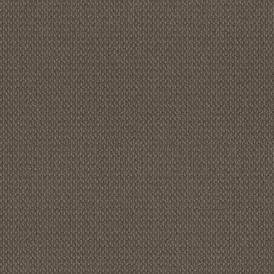 MOONDANCE - Pebble 00755 MOONDANCE - Pebble 00755