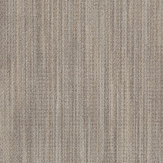SUNDANCE - Winter Oak 00123 SUNDANCE - Winter Oak 00123