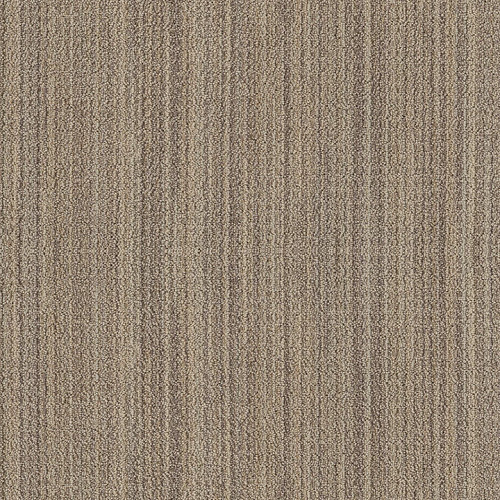 SUNDANCE - Wild Oats 00153