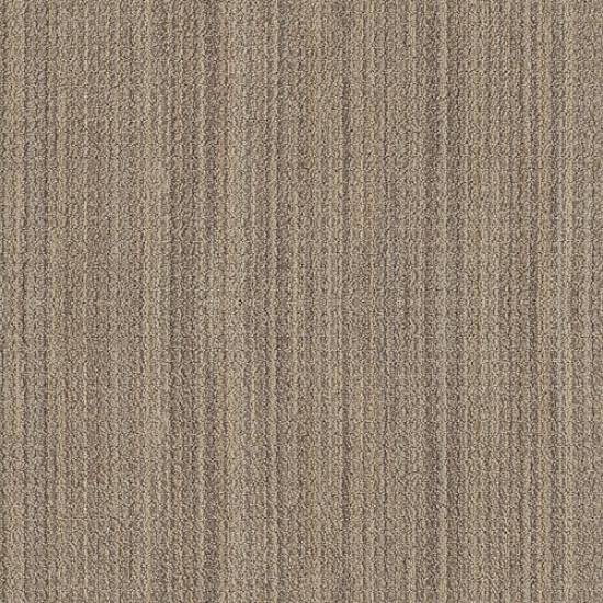 SUNDANCE - Wild Oats 00153