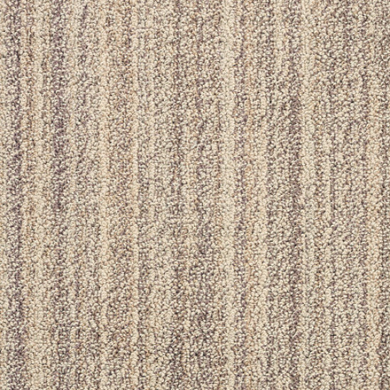 SUNDANCE - Wild Oats 00153