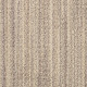 SUNDANCE - Wild Oats 00153