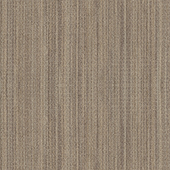 SUNDANCE - Wild Oats 00153