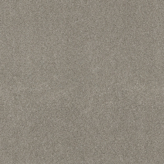 OCEAN VIEW - Shadow 00534