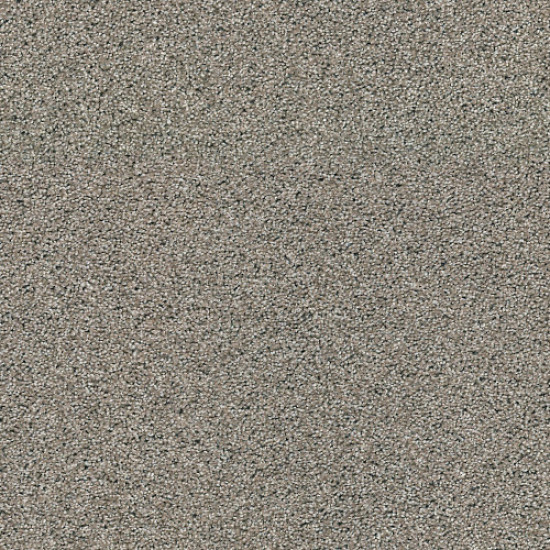OCEAN VIEW - Elusive 00537