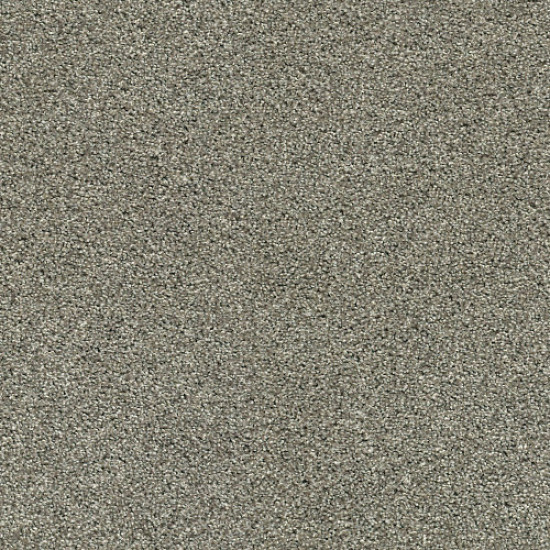 OCEAN VIEW - City Gray 00558