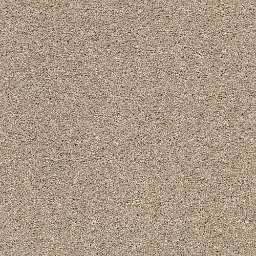 OCEAN VIEW - Mushroom 00725