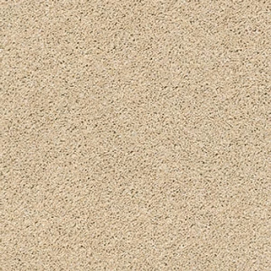 ACADIA PARK - Softer Tan 00123