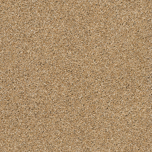 ACADIA PARK - Caramelo 00275