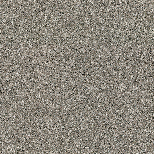 ACADIA PARK - Elusive 00537