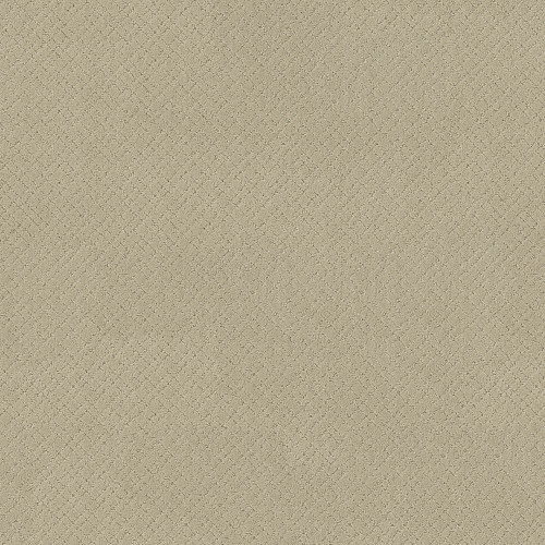 MOSAIC - Morning Light 00113