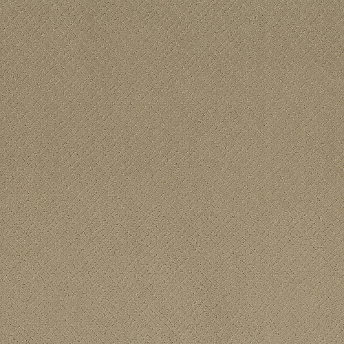 MOSAIC - Coronado 00115