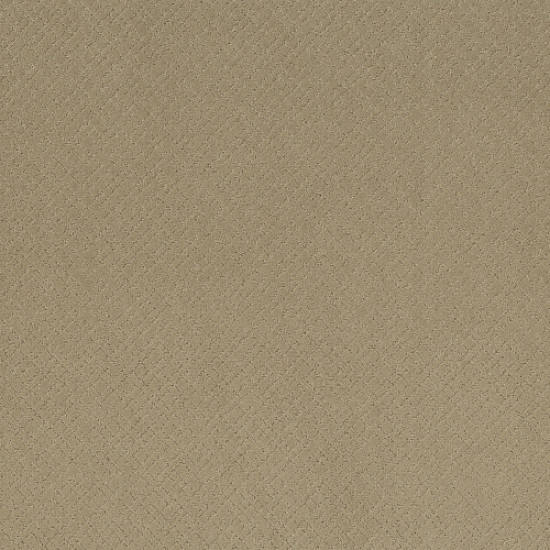 MOSAIC - Coronado 00115