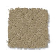 MOSAIC - Coronado 00115