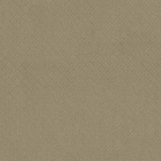 MOSAIC - Coronado 00115