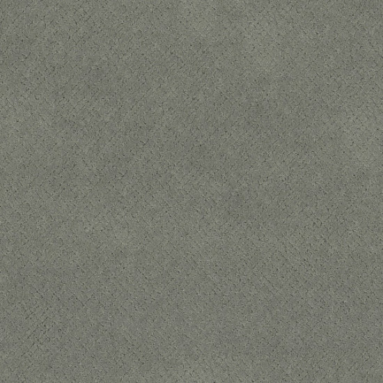 MOSAIC - Pine Forest 00314