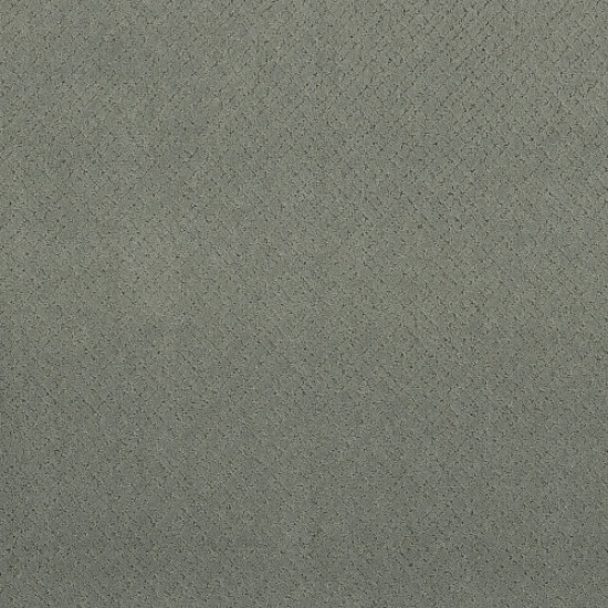 MOSAIC - Pine Forest 00314