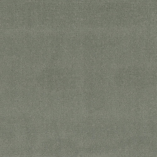 SKETCH - Pine Forest 00314