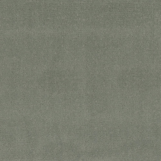 SKETCH - Pine Forest 00314 SKETCH - Pine Forest 00314