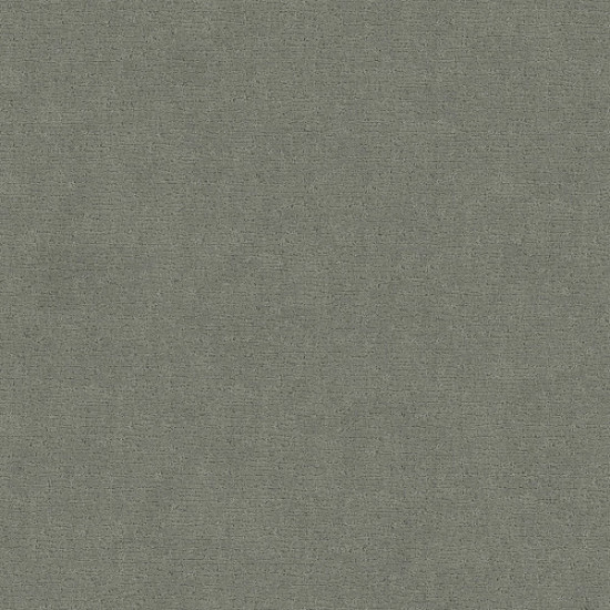 SKETCH - Pine Forest 00314 SKETCH - Pine Forest 00314