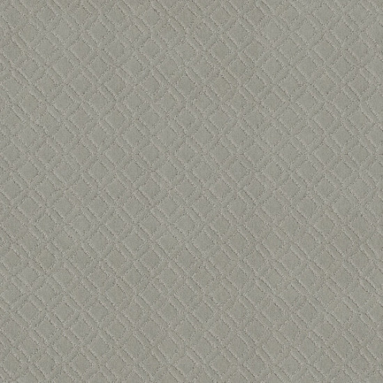 MUSE - Gentle Gray 00541