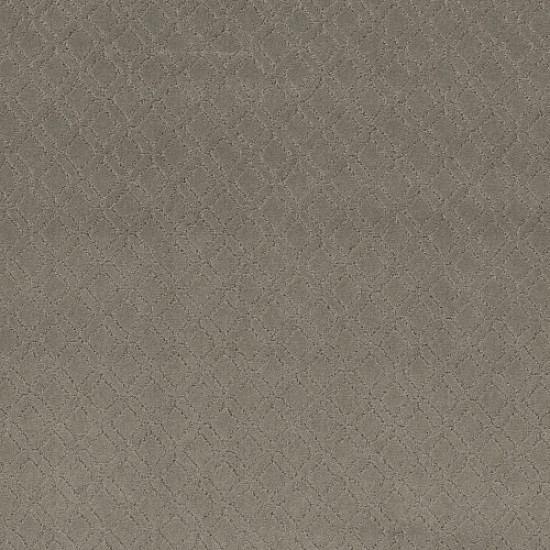 MUSE - Intrigue 00552 MUSE - Intrigue 00552