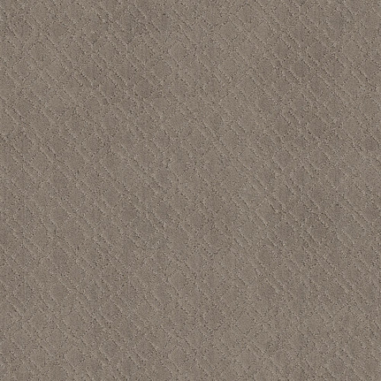 MUSE - Socialite 00851