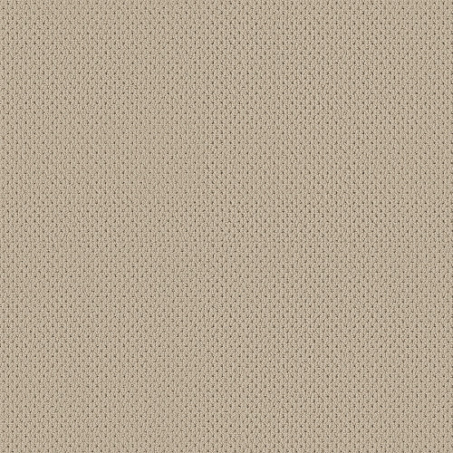 MERA - Biscuit 00114