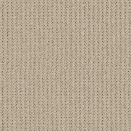 MERA - Biscuit 00114