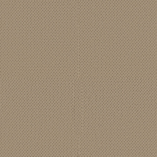 MERA - Golden 00127 MERA - Golden 00127
