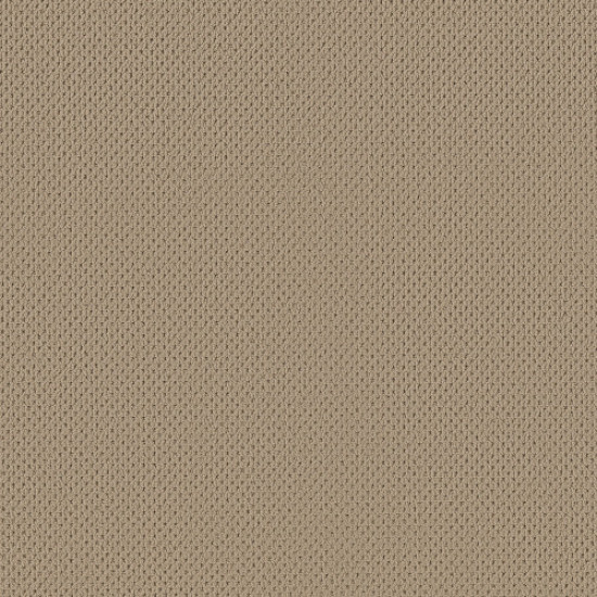 MERA - Golden 00127 MERA - Golden 00127