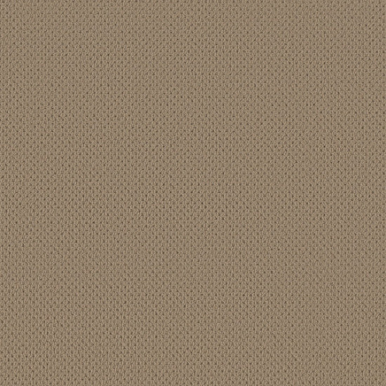 MERA - Latte 00724 MERA - Latte 00724