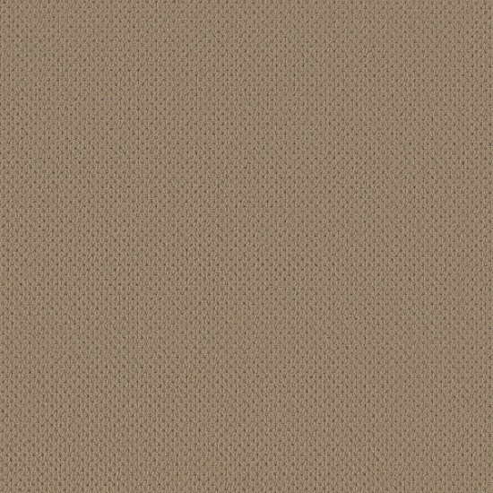 MERA - Latte 00724 MERA - Latte 00724