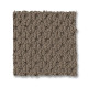 MERA - Shingle 00758 MERA - Shingle 00758