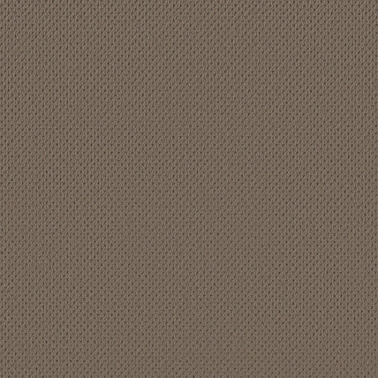 MERA - Shingle 00758 MERA - Shingle 00758