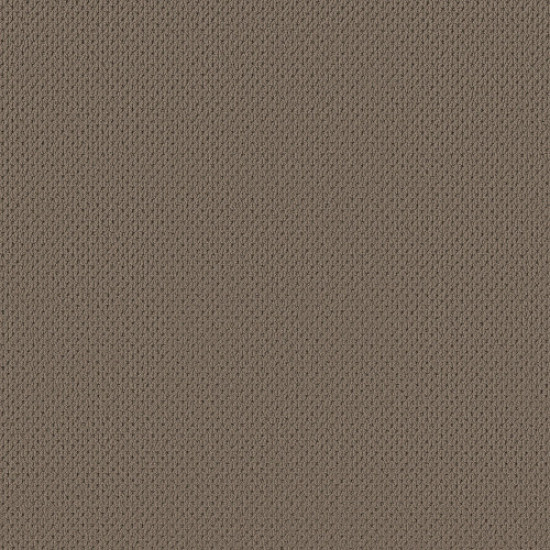 MERA - Shingle 00758 MERA - Shingle 00758