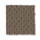 MERA - Homestead 00777 MERA - Homestead 00777
