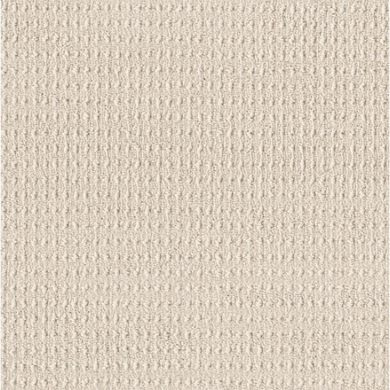 TRULY DELIGHTFUL - Blank Canvas 00111 TRULY DELIGHTFUL - Blank Canvas 00111