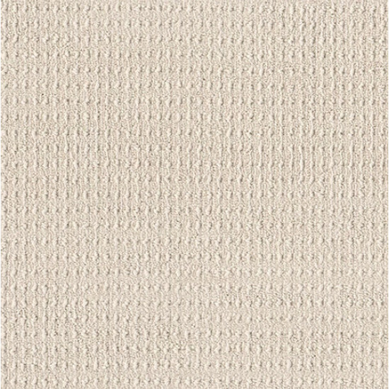 TRULY DELIGHTFUL - Blank Canvas 00111 TRULY DELIGHTFUL - Blank Canvas 00111