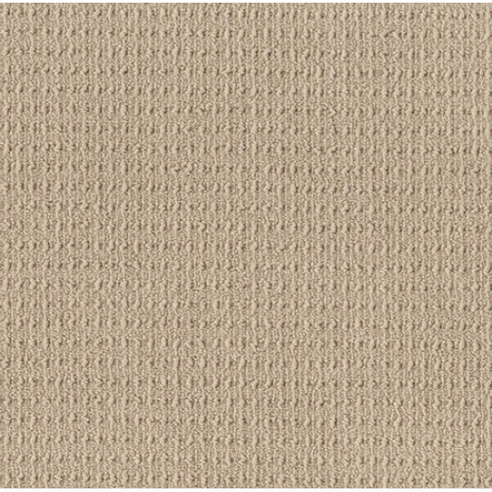 TRULY DELIGHTFUL - Fine Sand 00173 TRULY DELIGHTFUL - Fine Sand 00173