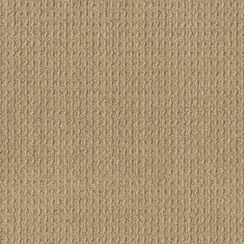 TRULY DELIGHTFUL - Buckskin 00215