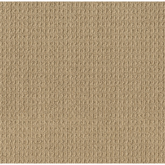 TRULY DELIGHTFUL - Buckskin 00215 TRULY DELIGHTFUL - Buckskin 00215