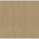 TRULY DELIGHTFUL - Buckskin 00215 TRULY DELIGHTFUL - Buckskin 00215