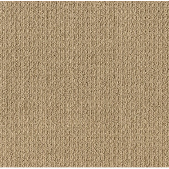 TRULY DELIGHTFUL - Buckskin 00215 TRULY DELIGHTFUL - Buckskin 00215