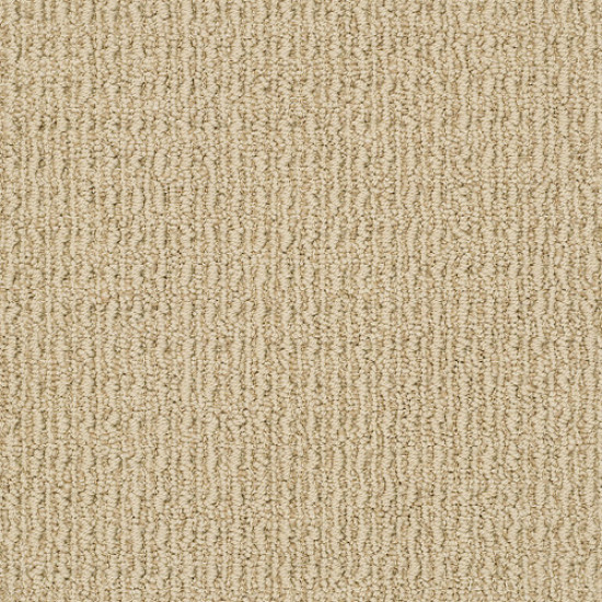 TRULY DELIGHTFUL - Buckskin 00215 TRULY DELIGHTFUL - Buckskin 00215
