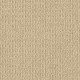 TRULY DELIGHTFUL - Buckskin 00215 TRULY DELIGHTFUL - Buckskin 00215