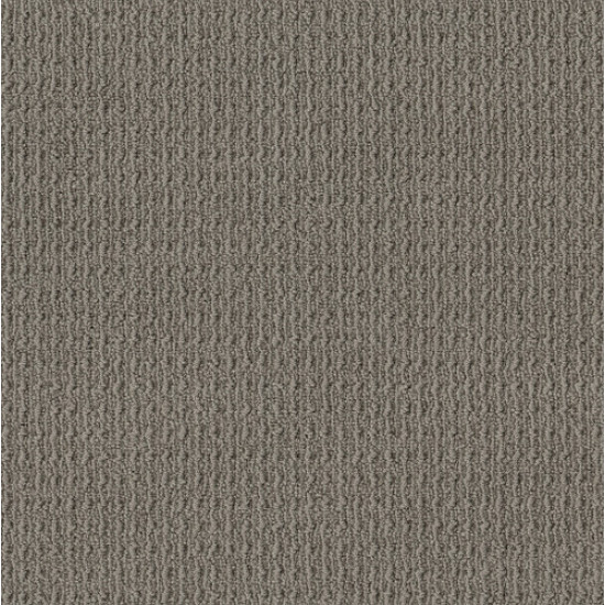 TRULY DELIGHTFUL - Shadow 00556 TRULY DELIGHTFUL - Shadow 00556