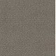 TRULY DELIGHTFUL - Shadow 00556 TRULY DELIGHTFUL - Shadow 00556